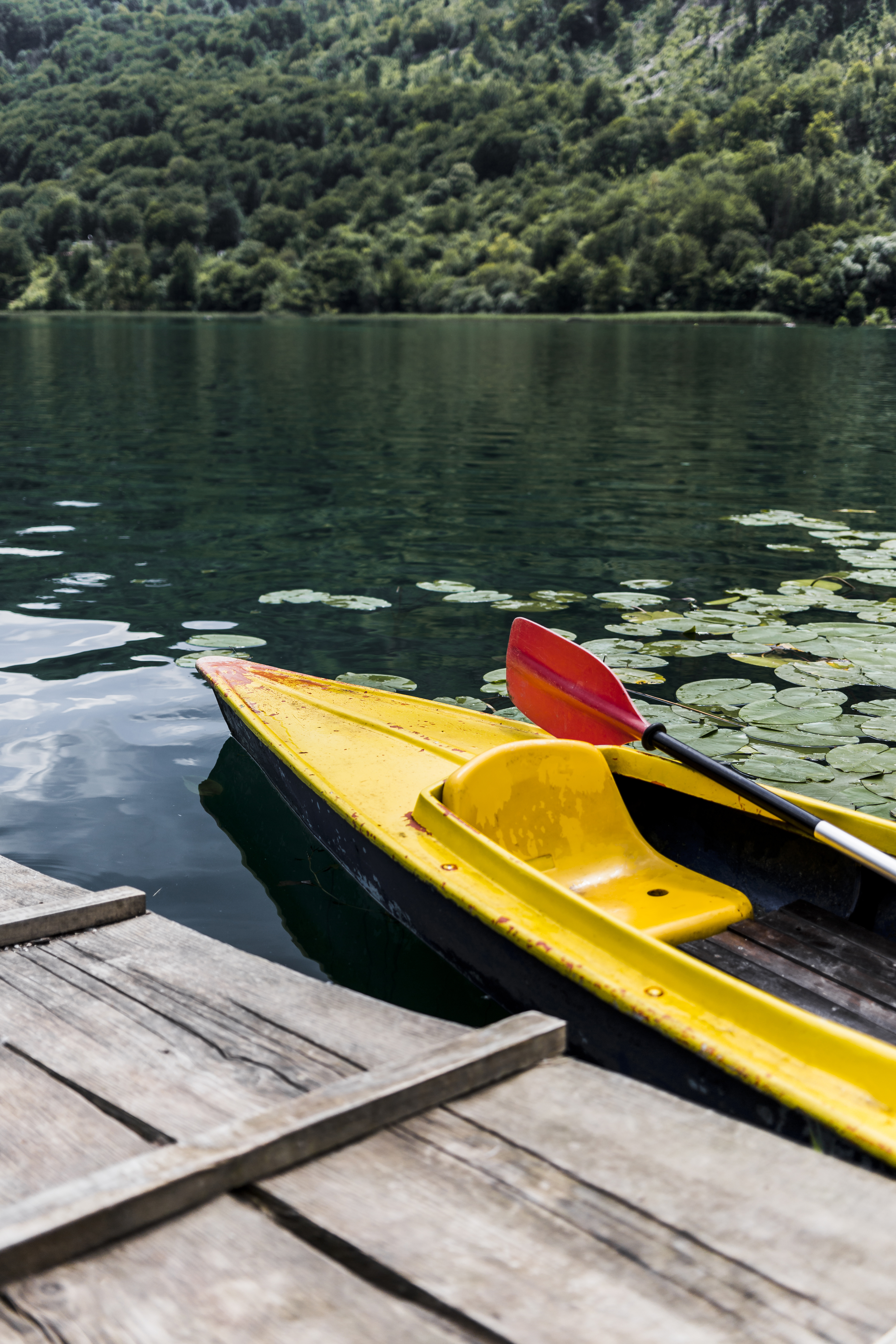 Kayak Rentals Around Bear Lake